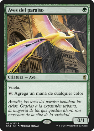 5dd40a7a-c445-4892-a65e-b032ef09411c Birds of Paradise