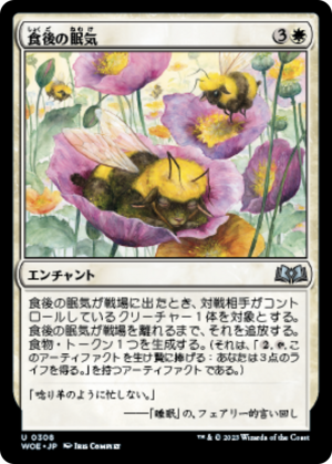 5f5dbdae-0343-49f2-9621-84e603c8ef51 Food Coma