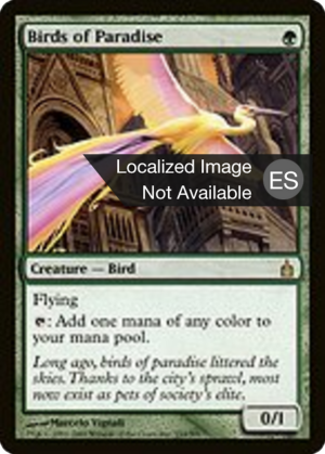 5f606a12-8dba-4640-834a-65de3f7c7f88 Birds of Paradise