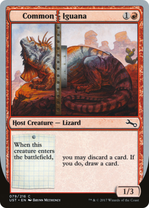 5fe2225f-4bac-4579-b8ee-9ded9af3294b Common Iguana