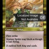 Ancient Spider