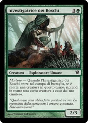 60fef2ec-959a-41eb-bc57-2fe6bcb41634 Woodland Sleuth