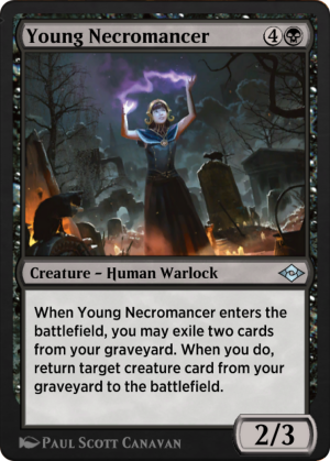 63d2259f-0cc3-439d-a08f-d66aaf145f25 Young Necromancer