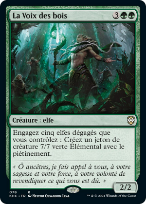 63e749a5-46a1-4bec-b40c-e1b1587e5726 Voice of the Woods