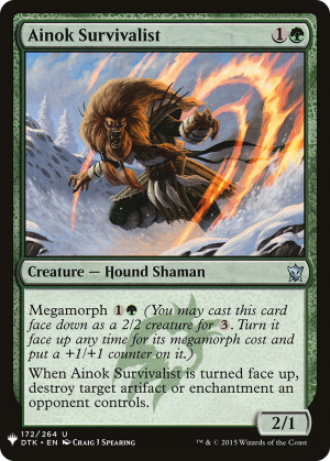6675db2a-bd2c-4a66-b000-cc76646eb254 Ainok Survivalist