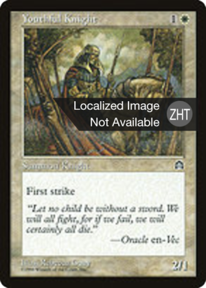 66d6c1e3-0717-4da9-ab71-8964ae5f0e92 Youthful Knight