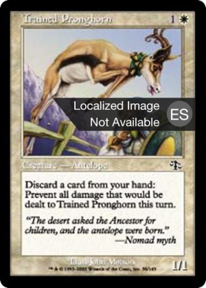 6715fd83-4946-44d4-bf99-57a2a9621455 Trained Pronghorn