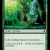 Woodland Changeling