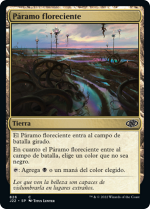 67945bd5-5809-4de5-af58-00b2b27de04b Thriving Moor