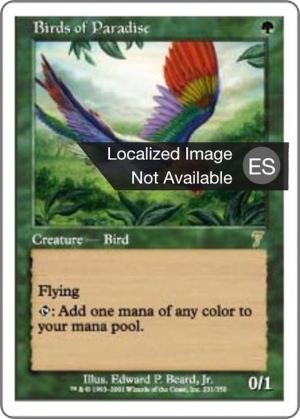 67fb5b59-b88d-41cc-b100-304463d42171 Birds of Paradise