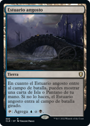 67fe991d-e111-43a6-8e9d-843a57069103 Choked Estuary