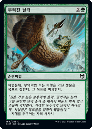 68a0cda0-2767-4642-8c81-64639e3180b4 Broken Wings