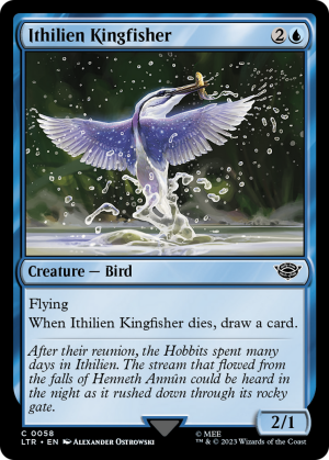 68c29762-6859-4564-9e1d-a87fa63b951a Ithilien Kingfisher