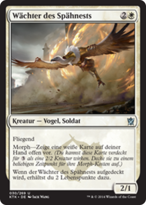 Watcher of the Roost