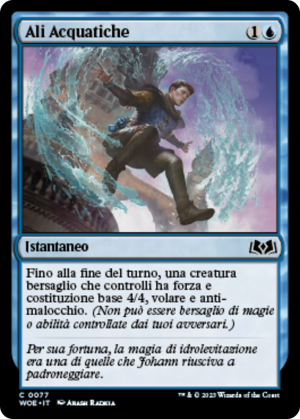 6941d5ab-d4db-4a83-9f7f-5eb24c8e943b Water Wings