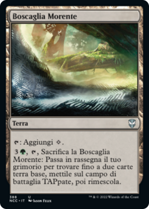 698605df-8149-47b2-9bf0-4be711175875 Blighted Woodland