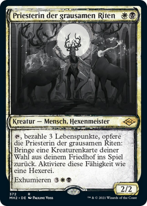 69e5e846-da92-4744-9b5b-0fd2317fd3ba Priest of Fell Rites