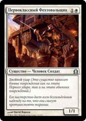 6a0375c0-61ed-4aff-b83b-ba03465725d9 Fencing Ace