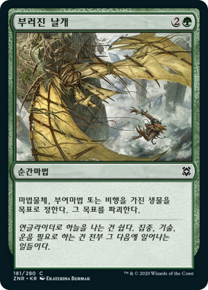 6a8c03a0-85ec-4e7d-bc77-65d0c1924bef Broken Wings