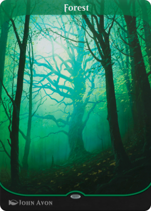 6c7913b8-60c7-4d61-b8bb-ee57a02e709a Forest