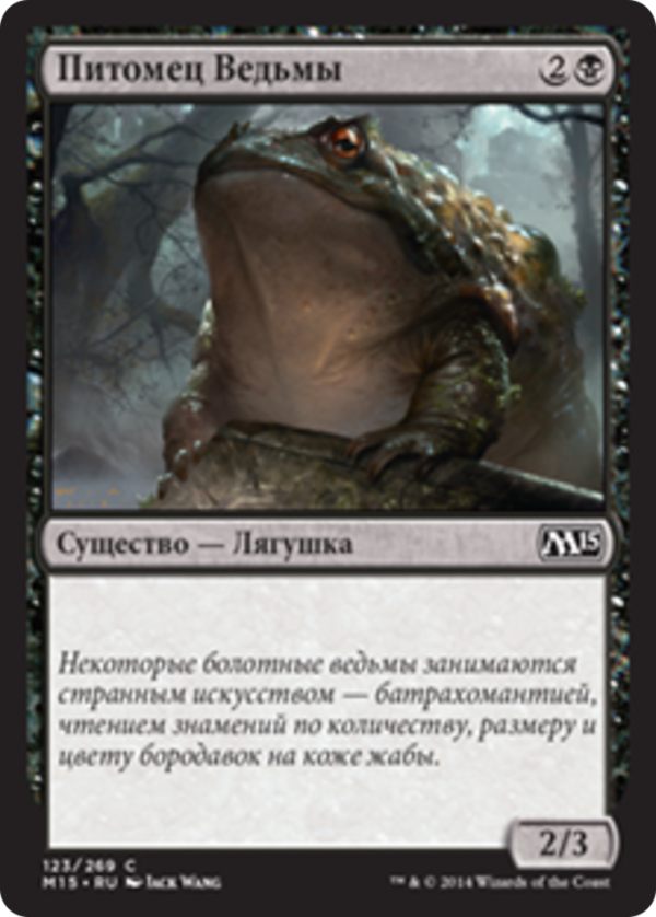 6c9d5f48-467b-4068-a151-1749dbca843a Witch's Familiar