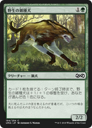 6e35a09e-0cad-425a-a3ce-cd75738ea538 Wild Mongrel