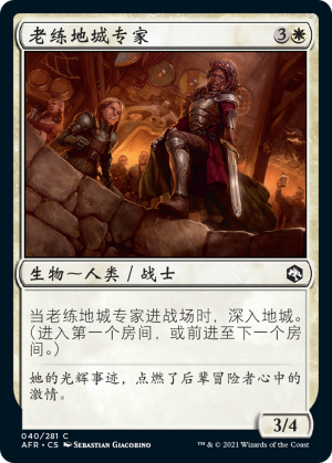 6ea22458-a38a-460e-9cfb-bfa4dae1ca11 Veteran Dungeoneer