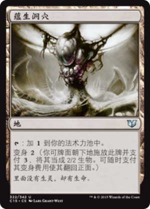 6ee18606-01d0-4b07-84b9-7cdb8964bdea Zoetic Cavern