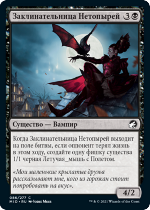 6f6c7b0e-2948-46de-81d5-0d65b7b04d0a Bat Whisperer