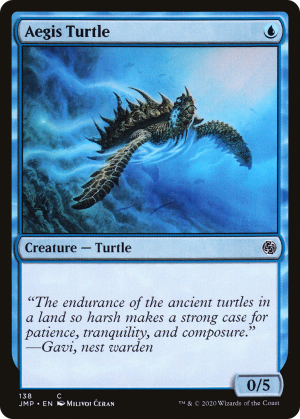 7003ebae-5d82-4360-ae63-0e51c37977ed Aegis Turtle