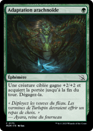 711a5a60-f89f-4946-b83f-571b8834c400 Arachnoid Adaptation