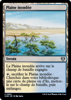 727d7435-beaa-4f02-a6b0-bf855752e92f Flood Plain