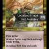 Ancient Spider