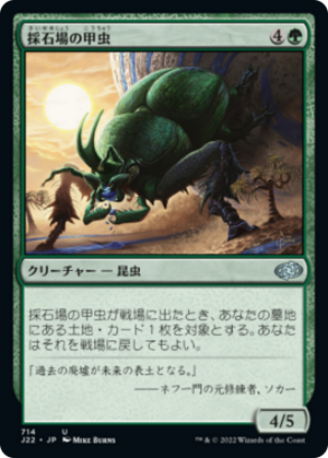 7332097a-77b0-4b64-965a-d52c5c2dd115 Quarry Beetle