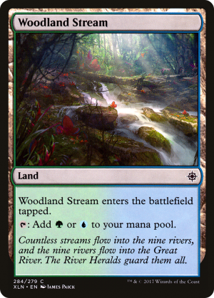 740bb19c-0c91-4fc1-9b3c-be84425a3523 Woodland Stream