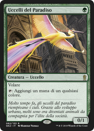 747090ec-d168-4a52-a9b0-e96a404c4984 Birds of Paradise