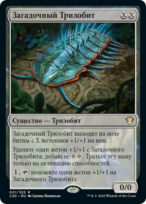 74fcd720-3429-42c9-a02f-9bde02c15ec1 Cryptic Trilobite