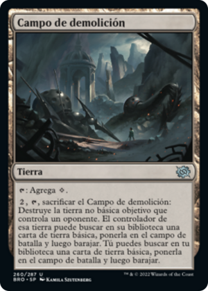 75a38472-b720-4e9a-b1ed-f33b75d232f3 Demolition Field