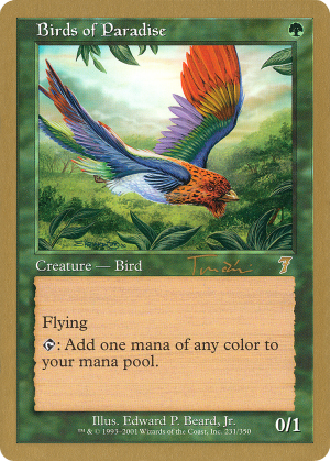 75a4cad2-4367-4084-8fe5-f85e49ca828d Birds of Paradise