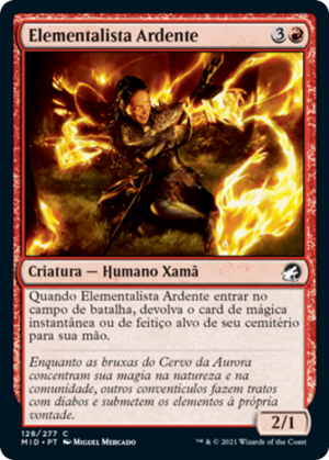 777f21fc-1342-42cf-bb28-3bbbb451569a Ardent Elementalist
