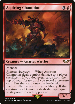 77a2d9f6-0750-403d-879f-e3a98c36c3bb Aspiring Champion