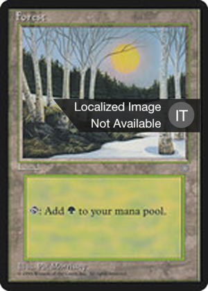 77dfebd6-4a8a-4958-92a1-ecbbe019a32f Forest