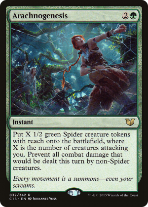 7967cb69-1868-45c0-92d1-39dabe30f2a2 Arachnogenesis