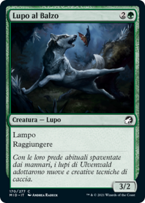 796a7456-5b80-46b5-a5f4-1377e2d72d10 Bounding Wolf