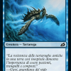 79cc006e-f77b-4eca-8c75-90025afd1cfa Aegis Turtle