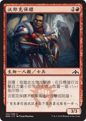 7aab5fe3-92a0-4be8-8b16-4711e9728114 Wojek Bodyguard