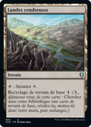 7b170c86-617c-47b3-a22d-f3afca23d6f1 Ash Barrens