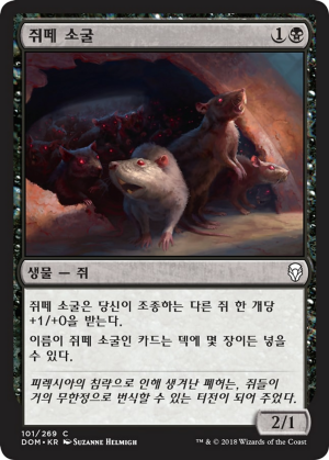 7be0d1ef-19b2-4ecf-86e2-86d0c90b6725 Rat Colony