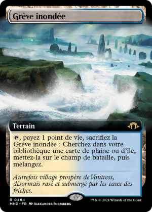 7c308bb9-b13c-4031-8f22-f11c9114f0c8 Flooded Strand