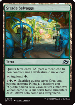 7cc3d255-e5ee-436f-9c0c-14e3e71d49d3 Wild Roads